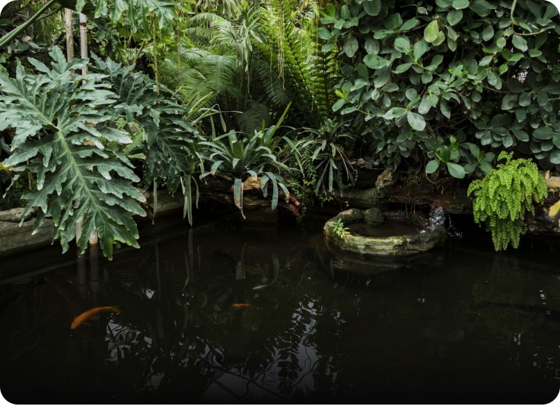 Masonry & Structural Work